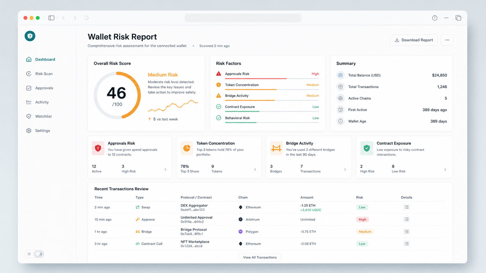 Wallet risk report interface